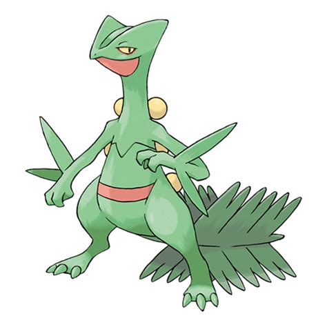 sceptile stats|sceptile bulbapedia.